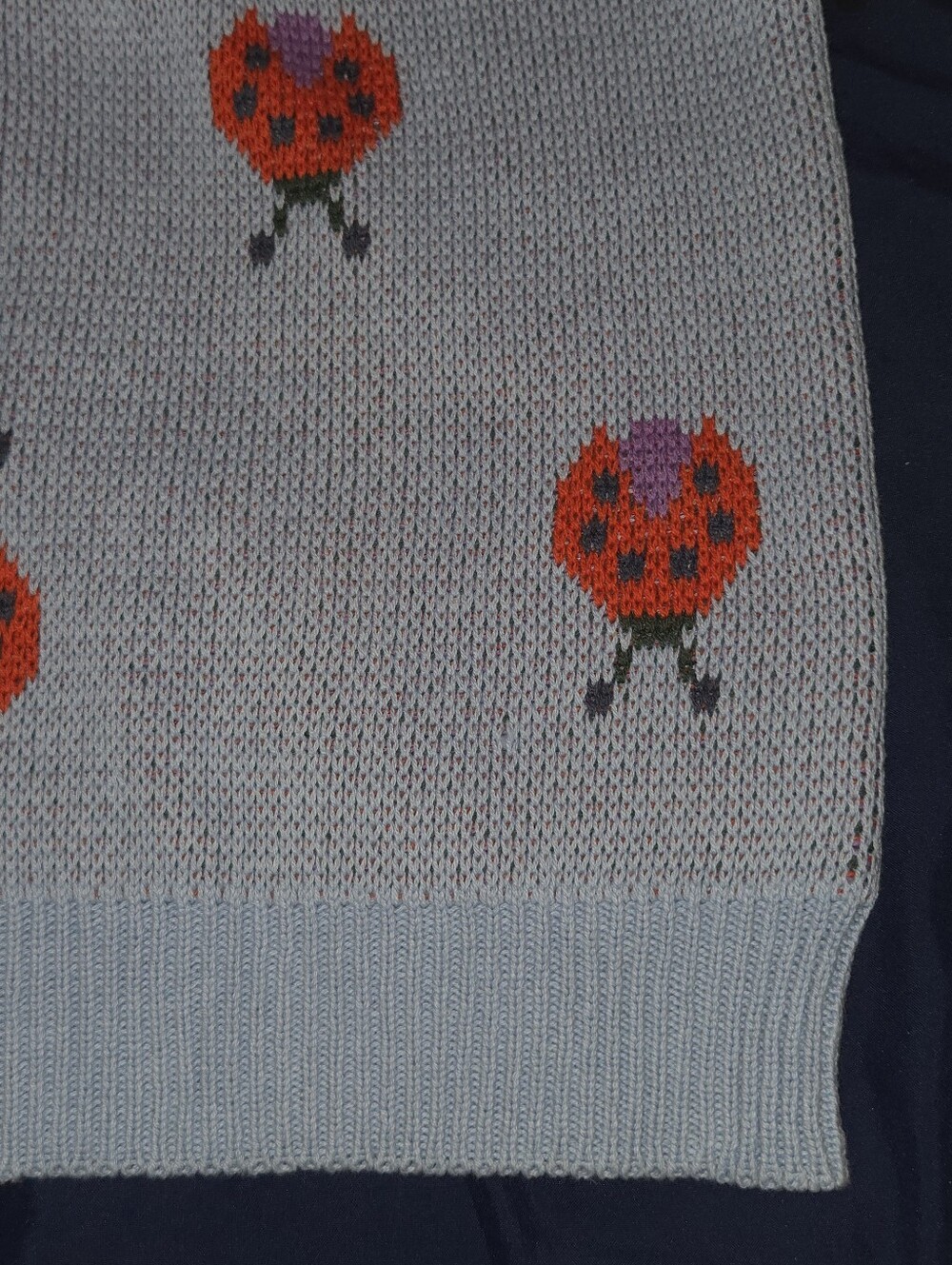 💲⬇️Retro Ladybug Button Front Cardigan🪞 - Picture 7 of 11